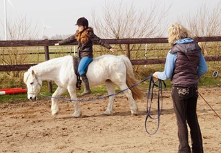 Kindercoaching met behulp van paarden