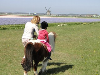 Ponyreiten in Nord Holland