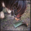 foto sandy raphael met een modderlaars