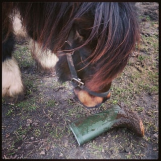 foto sandy raphael met een modderlaars