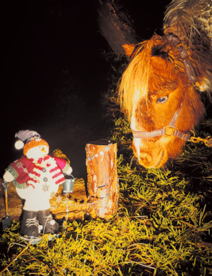 Igor en sneeuwpop goede foto