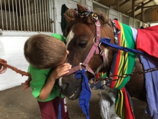 Hidde en Igor opgetut