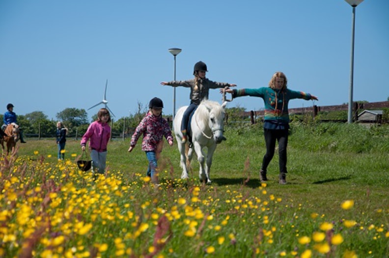 ponyrijden armen wijd twee pony gele bloemen