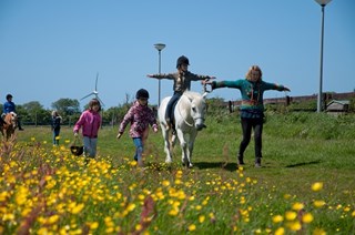 Ponyrijden in Noord Holland