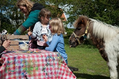 Kinderfeestje met ponyrijden Noord Holland