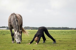 Workshop yoga voor paardenmensen door Sylvie van den Goorbergh