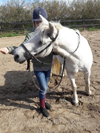 leren ponyrijden op Pip