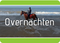 Op vakantie met je paard naar zee