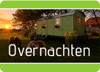 Op vakantie met je paard naar zee