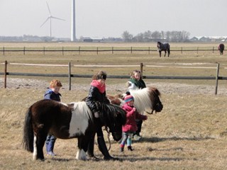 Ponyrijden in Noord Holland een leuk uitje