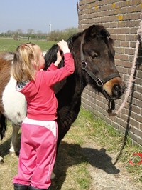 Pony Doe Dag bij Dapperstal