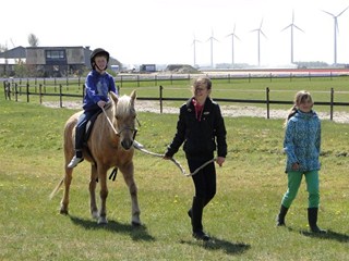 Ponyrijden en veel ruimte om te spelen bij Dapperstal